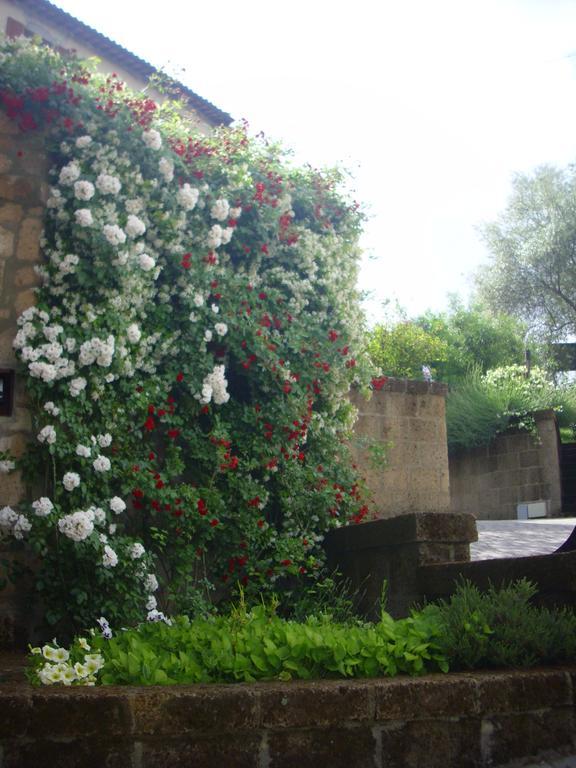 Chiara E Benedetta Villa Degli Ulivi Orvieto Exterior foto